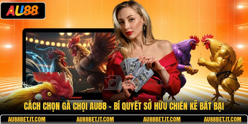 Cách Chọn Gà Chọi AU88