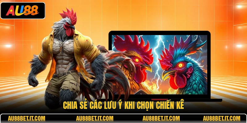 Chia sẻ các lưu ý khi chọn chiến kê