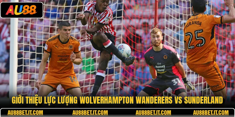 Giới thiệu lực lượng Wolverhampton Wanderers vs Sunderland